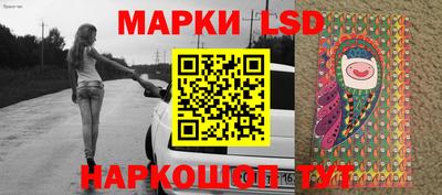 mdpv Кимры