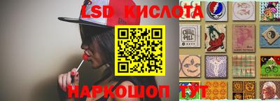mdpv Кимры