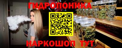 прущий лед Кингисепп