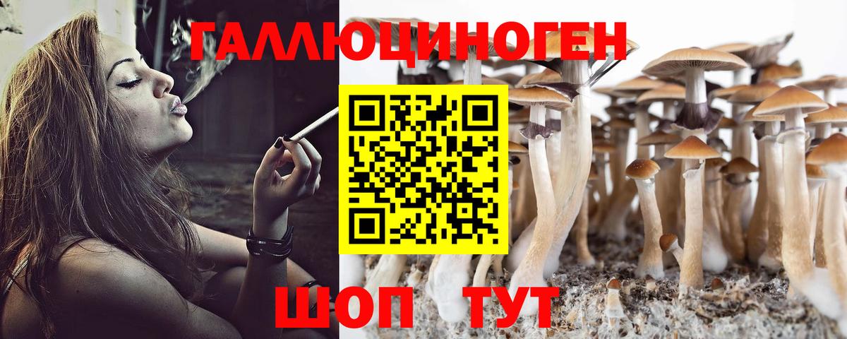 Краснокаменск  Галлюциногенные грибы MAGIC MUSHROOMS  Вход с VPN 