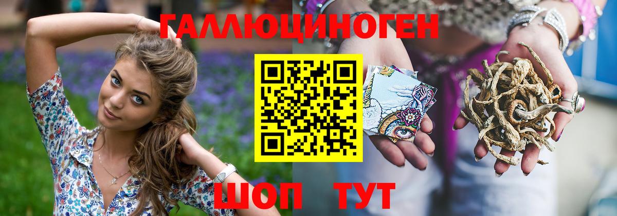 Псилоцибиновые грибы Cubensis Краснокаменск